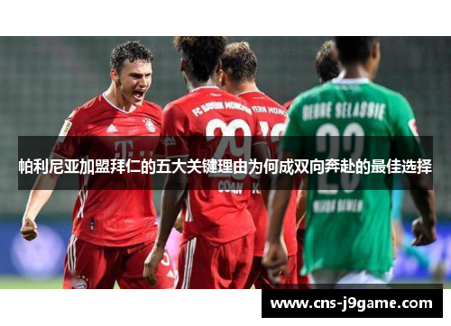 帕利尼亚加盟拜仁的五大关键理由为何成双向奔赴的最佳选择