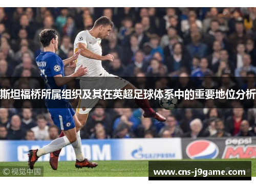 斯坦福桥所属组织及其在英超足球体系中的重要地位分析