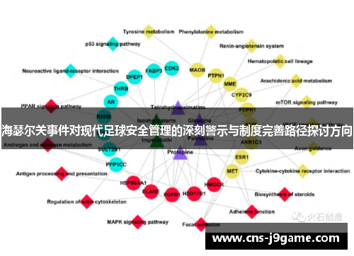 海瑟尔关事件对现代足球安全管理的深刻警示与制度完善路径探讨方向