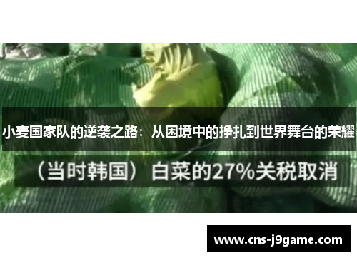 小麦国家队的逆袭之路：从困境中的挣扎到世界舞台的荣耀